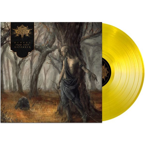 Fires In The Distance - Echoes From Deep November i gruppen VINYL / Metal hos Bengans Skivbutik AB (5576389)