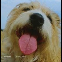 Songdog - Mirabilia Mundi i gruppen VINYL / Pop-Rock hos Bengans Skivbutik AB (5576572)