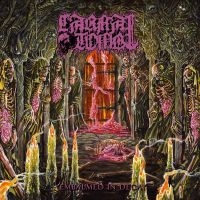 Carnal Tomb - Embalmed In Decay i gruppen VI TIPSER / Fredagsutgivelser / 2025-01-31 hos Bengans Skivbutik AB (5576721)