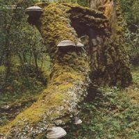 Jelinek Jan - Kosmischer Pitch (Reissue) i gruppen VI TIPSER / Fredagsutgivelser / 2025-01-17 hos Bengans Skivbutik AB (5576768)
