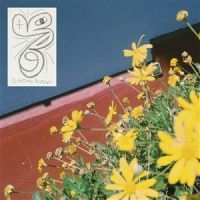 Laundromat Chicks - Sometimes Possessed i gruppen VI TIPSER / Fredagsutgivelser / 2025-01-24 hos Bengans Skivbutik AB (5576774)