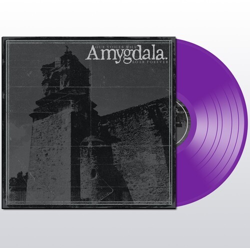 Amygdala - Our Voices Will Soar Forever i gruppen VINYL / Metal hos Bengans Skivbutik AB (5577123)