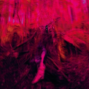 Rebel Wizard - Magickal Mystical Indifference i gruppen Annet /  hos Bengans Skivbutik AB (5577168)