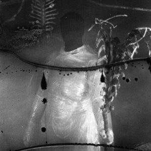 Vile Creature - Preservation Rituals (2015 - 2018) i gruppen CD / Metal hos Bengans Skivbutik AB (5577169)