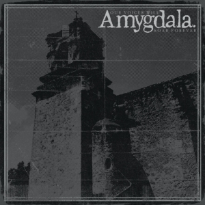 Amygdala - Our Voices Will Soar Forever i gruppen Annet /  hos Bengans Skivbutik AB (5577181)