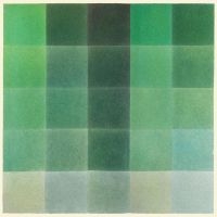 Hill Tim - Shades Of Green i gruppen VI TIPSER / Fredagsutgivelser / 2025-03-07 hos Bengans Skivbutik AB (5577978)