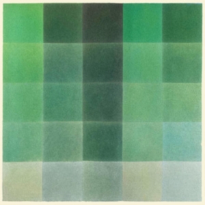 Hill Tim - Shades Of Green i gruppen VINYL / Pop-Rock hos Bengans Skivbutik AB (5577978)