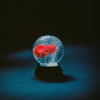 Darkside - Nothing i gruppen VI TIPSER / Fredagsutgivelser / 2025-02-28 hos Bengans Skivbutik AB (5578070)