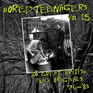 Various Artist - Bored Teenagers, Vol. 15 i gruppen VINYL hos Bengans Skivbutik AB (5578325)