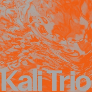 Kali Trio - The Playful Abstract i gruppen Annet /  hos Bengans Skivbutik AB (5578378)