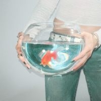 Fish Narc - Frog Song i gruppen VI TIPSER / Fredagsutgivelser / 2025-02-14 hos Bengans Skivbutik AB (5578977)