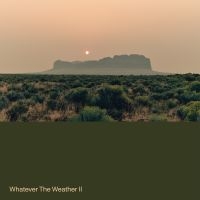 Whatever The Weather - Whatever The Weather Ii (Ltd Dark G i gruppen VINYL hos Bengans Skivbutik AB (5578984)