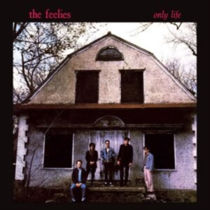 Feelies The - Only Life i gruppen VI TIPSER / Hjem - Vinyl Nyheter & Kommende hos Bengans Skivbutik AB (5579030)
