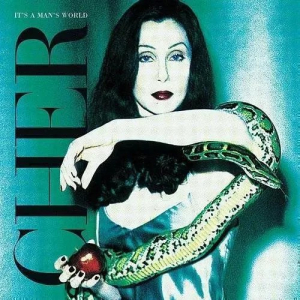 Cher - It's A Man's World i gruppen Annet /  hos Bengans Skivbutik AB (5579149)
