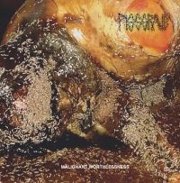 Pissgrave - Malignant Worthlessness i gruppen CD / Metal hos Bengans Skivbutik AB (5579746)