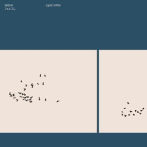 Felbm - Cycli Infini i gruppen Annet / hos Bengans Skivbutik AB (5579826)