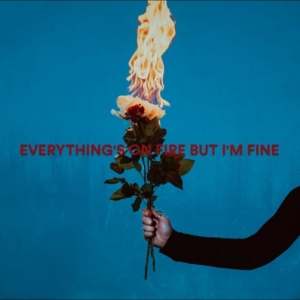 As December Falls - Everything's On Fire But I'm Fine i gruppen VI TIPSER / Fredagsutgivelser / 2025-08-08 hos Bengans Skivbutik AB (5580572)