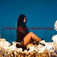 As December Falls - Everything's On Fire But I'm Fine i gruppen VINYL hos Bengans Skivbutik AB (5580573)