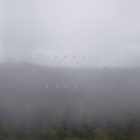 Dead Bandit - Dead Bandit i gruppen VI TIPSER / Fredagsutgivelser / 2025-03-14 hos Bengans Skivbutik AB (5580812)