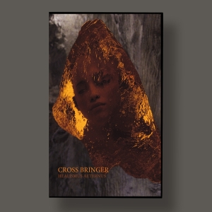 Cross Bringer - Healismus Aeternus i gruppen Annet /  hos Bengans Skivbutik AB (5581987)