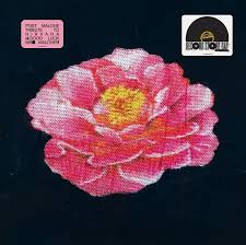 Post Malone - Post Malone Tribute To Nirvana(Rsd2025) i gruppen Korr_grupp /  hos Bengans Skivbutik AB (5582338)