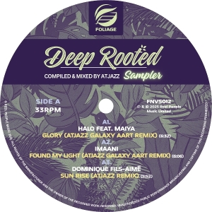 V/A - Deep Rooted (Compiled & Mixed By Atjazz) Vinyl Sampler i gruppen Annet /  hos Bengans Skivbutik AB (5583069)