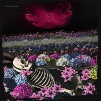 Dead Rabbitts - Redefined i gruppen VI TIPSER / Fredagsutgivelser / 2025-05-02 hos Bengans Skivbutik AB (5583132)