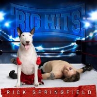 Rick Springfield - Big Hits: Rick Springfield's Greate i gruppen CD hos Bengans Skivbutik AB (5584159)