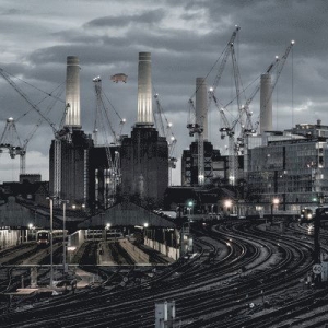 Pink Floyd - Animals (2018 Remix) i gruppen VI TIPSER / Fredagsutgivelser / 2025-03-28 hos Bengans Skivbutik AB (5584221)