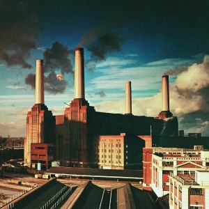 Pink Floyd - Animals i gruppen VI TIPSER / Mest Populære vinylklassiker hos Bengans Skivbutik AB (5584224)