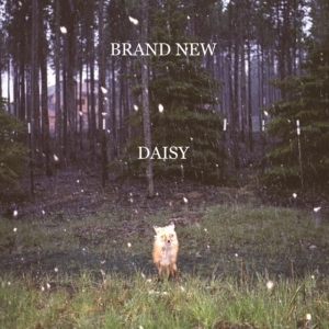 Brand New - Daisy i gruppen VI TIPSER / Hjem - Vinyl Nyheter & Kommende hos Bengans Skivbutik AB (5584282)