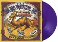 Its A Beautiful Day - Choice Quality Stuff (Purple Vinyl i gruppen VI TIPSER / Fredagsutgivelser / 2025-03-14 hos Bengans Skivbutik AB (5584479)