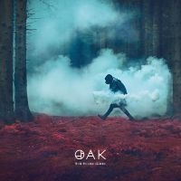 Oak - The Third Sleep i gruppen VI TIPSER / Fredagsutgivelser / 2025-04-25 hos Bengans Skivbutik AB (5584552)