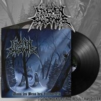 Frozen Shadows - Dans Les Bras Des Immortels (Black i gruppen VINYL hos Bengans Skivbutik AB (5587429)