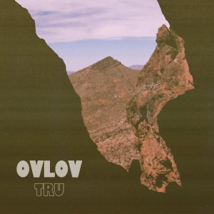 Ovlov - Tru (Brown Vinyl) i gruppen VINYL / Pop-Rock hos Bengans Skivbutik AB (5587495)