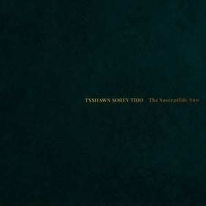 Tyshawn Sorey - Susceptible Now i gruppen CD / Jazz hos Bengans Skivbutik AB (5587726)
