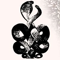 Bardo Pond - Volume 4 & 5 i gruppen VINYL / Pop-Rock hos Bengans Skivbutik AB (5587765)