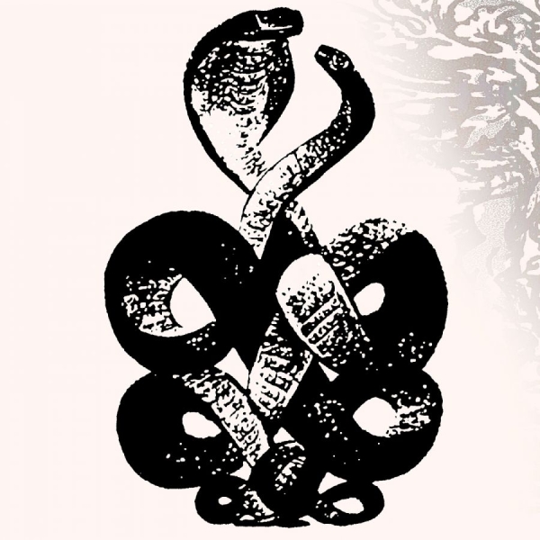 Bardo Pond - Volume 4 & 5 i gruppen VINYL / Toppselgere hos Bengans Skivbutik AB (5587765)