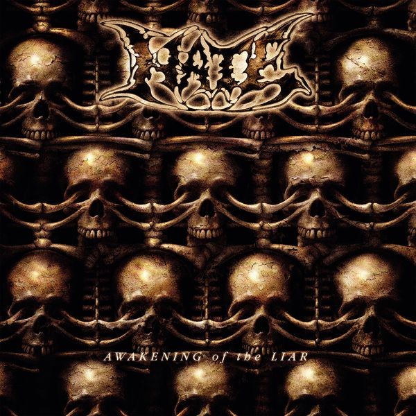 Hate - Awakening Of The Liar i gruppen VINYL / Metal hos Bengans Skivbutik AB (5587777)