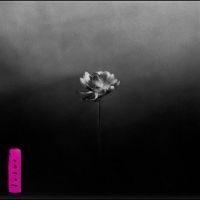 Little Simz - Lotus i gruppen CD / Kommende / Hip Hop-Rap,Pop-Rock hos Bengans Skivbutik AB (5587834)
