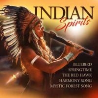 Various Artists - Indian Spirits i gruppen CD / Pop-Rock hos Bengans Skivbutik AB (5588004)