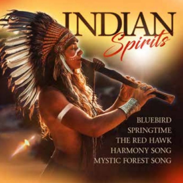 Various Artists - Indian Spirits i gruppen CD / Toppselgere hos Bengans Skivbutik AB (5588004)