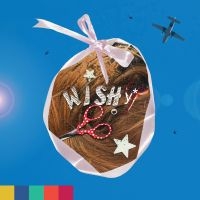 Wishy - Paradise On Planet Popstar i gruppen VI TIPSER / Fredagsutgivelser / 2025-04-25 hos Bengans Skivbutik AB (5588146)