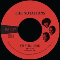 The Notations - I'm Still Here B/W What More Can I i gruppen VI TIPSER / Fredagsutgivelser / 2025-04-04 hos Bengans Skivbutik AB (5588177)