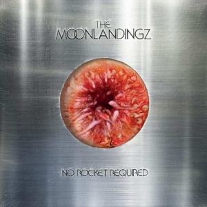 The Moonlandingz - No Rocket Required i gruppen CD / Pop-Rock hos Bengans Skivbutik AB (5588292)