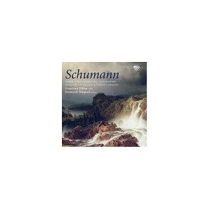 Schumann - Cello Transcriptions i gruppen CD / Klassisk hos Bengans Skivbutik AB (5588562)
