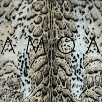 Amoa - I'll Be Kind i gruppen VI TIPSER / Fredagsutgivelser / 2025-06-13 hos Bengans Skivbutik AB (5589105)