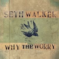 Walker Seth - Why The Worry i gruppen VI TIPSER / Fredagsutgivelser / 2025-04-04 hos Bengans Skivbutik AB (5589465)