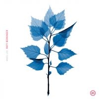 Matt Berninger - Get Sunk (Vinyl) i gruppen VINYL / Pop-Rock hos Bengans Skivbutik AB (5589561)