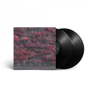 Sleep Token - Even In Arcadia (Black Vinyl) i gruppen VINYL / Kommende / Metal hos Bengans Skivbutik AB (5589752)